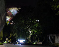 Gardens at Night-24.jpg